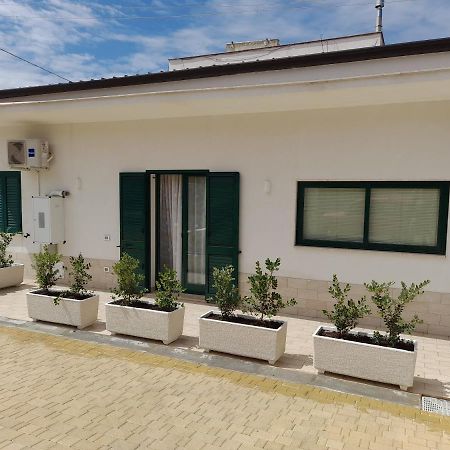 Appartamento Alla Palma Alcamo Esterno foto